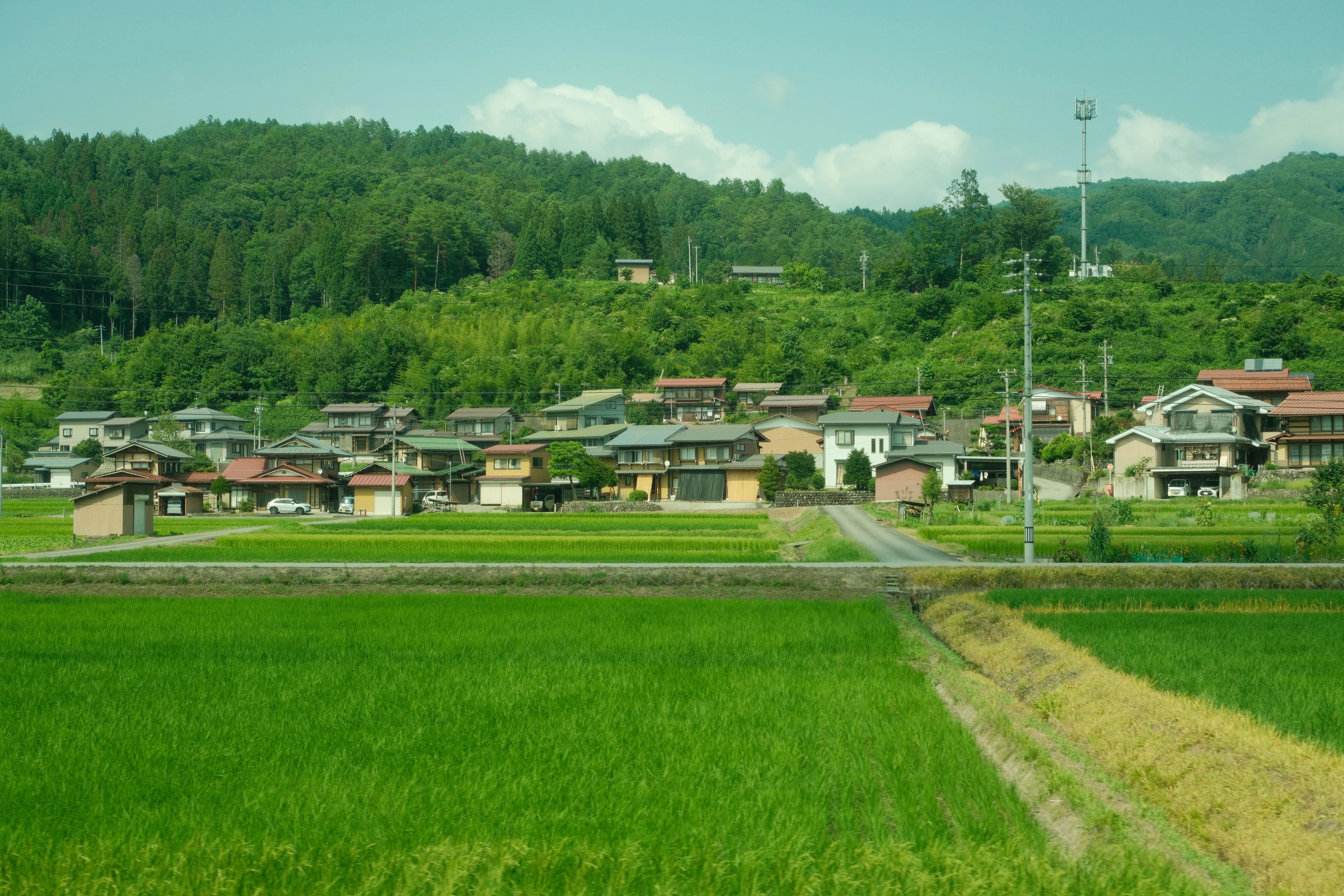 Green rice fields and a village below forested hills in rural Japan