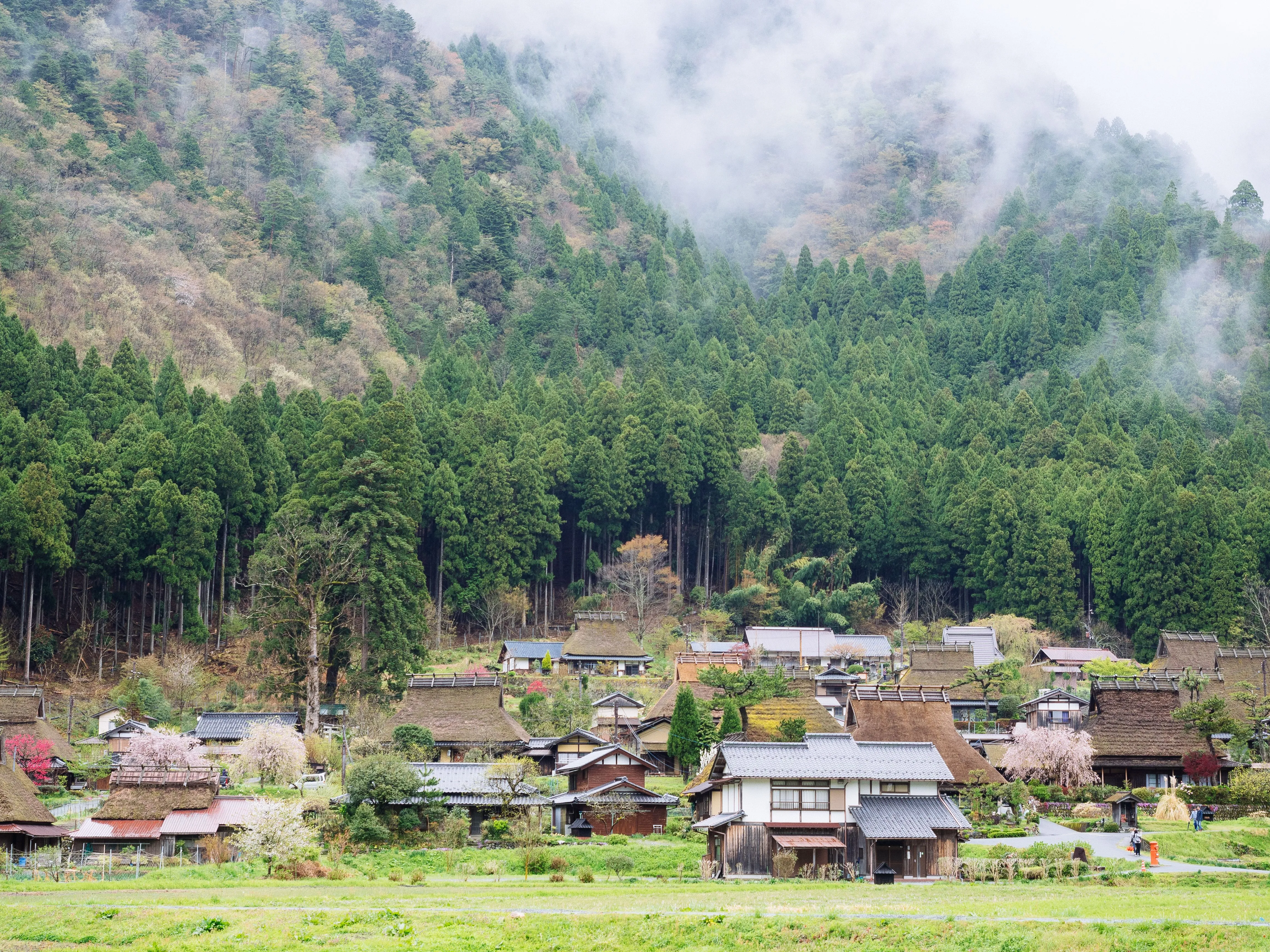 Thatched-roof farmhouses in a green valley in rural Kyoto